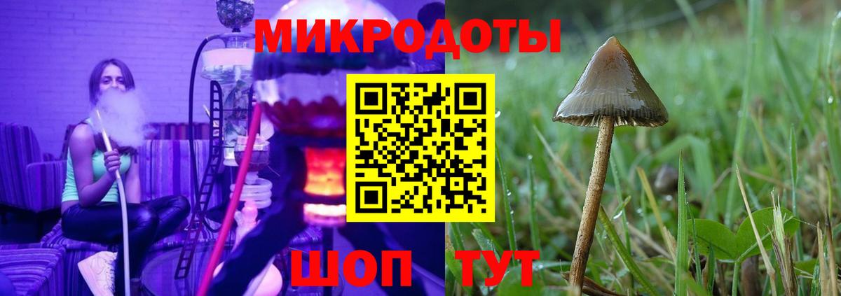 Зеленодольск  Псилоцибиновые грибы прущие грибы  что такое   Вход с VPN 